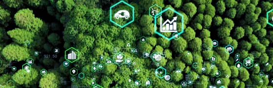 Green skills icons