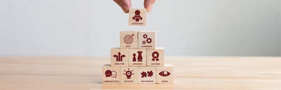 Building blocks of strategy and leadership